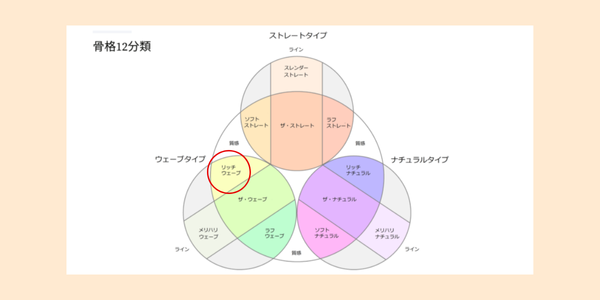 骨格診断12分類におけるリッチウェーブの位置を表す図
