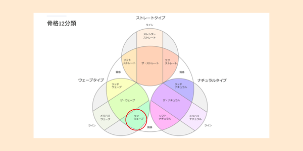 骨格診断12分類におけるラフウェーブの位置を表す図