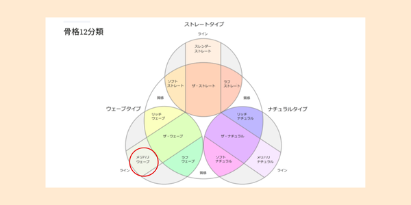 骨格診断12分類におけるメリハリウェーブの位置を表す図