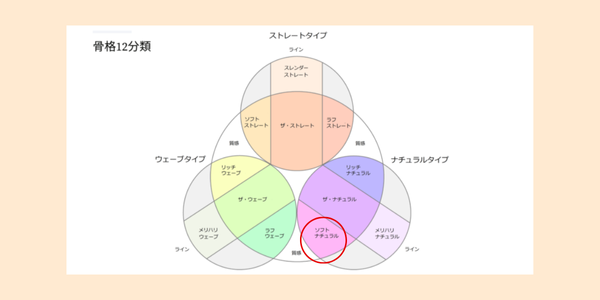 骨格診断12分類におけるソフトナチュラルの位置を表す図