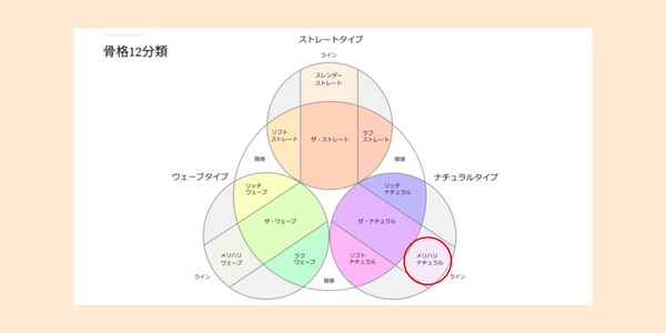 骨格診断12分類におけるメリハリナチュラルの位置を表す図
