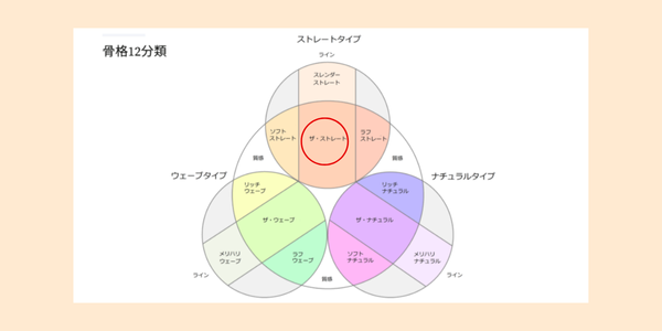 骨格診断12分類におけるザ・ストレートの位置を示す図