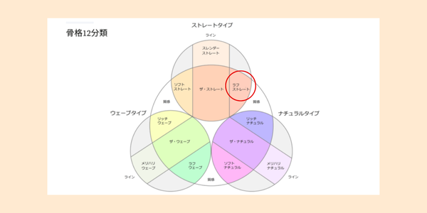 骨格診断12分類におけるラフストレートの位置を表す図