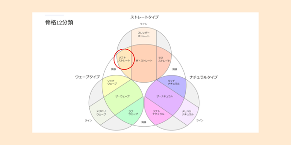 骨格診断12分類におけるソフトストレートの位置を表す図