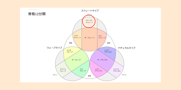 骨格診断12分類におけるスレンダーストレートの位置を表す図